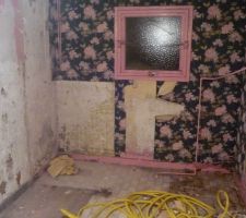 Supression de la cloison entre l'ancienne SDB et Lingerie et des divers &eacute;l&eacute;ments sanitaires (lavabo, WC, douche)