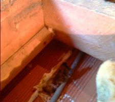 Plancher 2