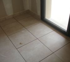 Porte rehaussée, carrelage posé en cours !