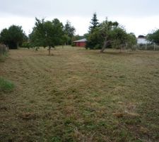 Terrain apr&egrave;s tonte fraiche