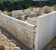 &Ccedil;a y est les mirs ont commenc&eacute; &agrave; monter