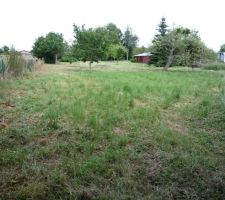 Apr&egrave;s 1er d&eacute;broussaillage