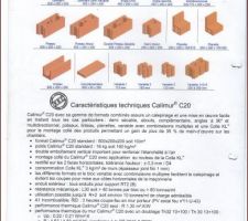 Brique calimur C20