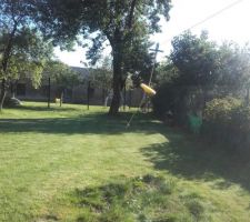 Installation de la tyrolienne: par contre il faut absolument trouver une solution pour que les petits puissent grimper dans l'arbre sans danger !! tour ? Mur à grimper, échelle ou mon rêve d'enfance: cabane dans l'arbre !!