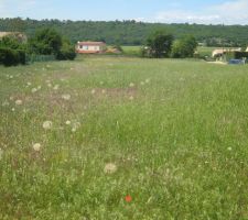 Photo du terrain situ&eacute; &agrave; rians