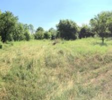 Terrain en mode panoramique