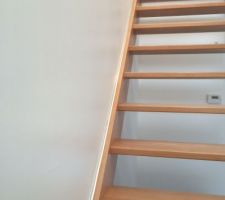 Liseret Chrome escalier