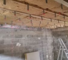 Mise en place suspentes plafond et isolation