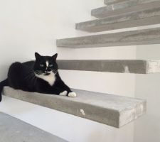 L'escalier est adopté ;)