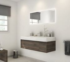 Meuble Vasque SDB