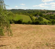 Terrain vu d'en haut après fauchage et coupe des peupliers