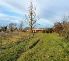 Visite du terrain et sondage