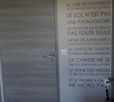 Tip top ces portes "fin de chantier " LAPEYRE! Pos&eacute;e  en 20 MN chacune! Le r&eacute;sultat est exactement ce qu?on esp&eacute;rait!!
