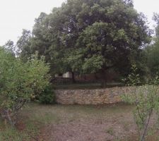 Nos magnifiques restantes