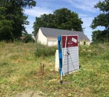 L'après débroussaillage