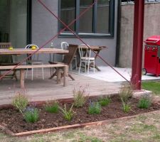 Lavande, gaura, carex, pennisetum