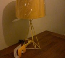 Achat lampe jaune chez casa 29 euros ,le fil electrique est jaune aussi!   et range papier jaune
