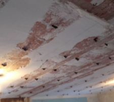 Fin de la pose de griffes