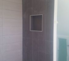 Niche dans la douche