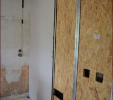 Pose de l'OSB (pour fixer meuble cuisine haut ) puis du placo