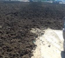 Bornage de notre parcelle