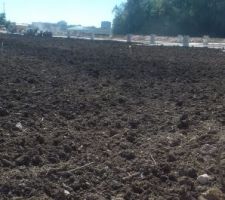 Bornage de notre parcelle