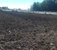 Bornage de notre parcelle