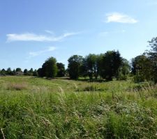 Photo du terrain ou va &ecirc;tre construit le futur lotissement