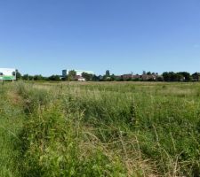 Photo du terrain ou va &ecirc;tre construit le futur lotissement