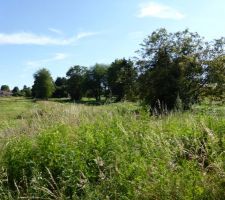 Photo du terrain ou va &ecirc;tre construit le futur lotissement