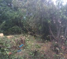 Pr&eacute;paration du terrain pour terrassement