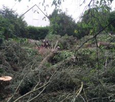 Pr&eacute;paration du terrain pour terrassement