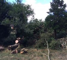 Pr&eacute;paration du terrain pour terrassement