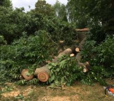 Pr&eacute;paration du terrain pour terrassement