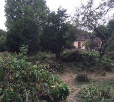 Pr&eacute;paration du terrain pour terrassement