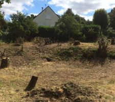 Pr&eacute;paration du terrain pour terrassement (r&eacute;sultat final)