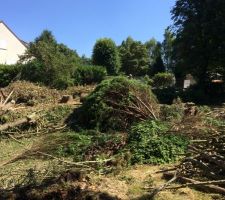 Pr&eacute;paration du terrain pour terrassement