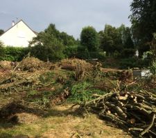 Pr&eacute;paration du terrain pour terrassement