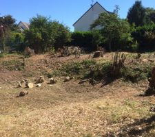 Pr&eacute;paration du terrain pour terrassement