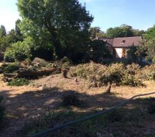 Pr&eacute;paration du terrain pour terrassement