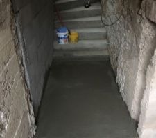 Escalier cave