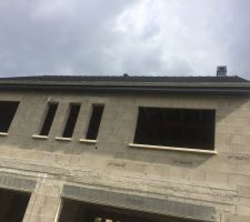 Cache moineaux pvc anthracite. Celui ci ne va pas jusqu'au bout !!!!