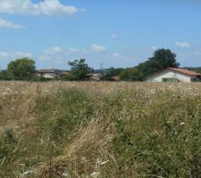 Lotissement avant travaux