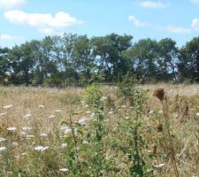 Lotissement avant travaux