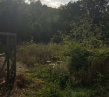 La v&eacute;g&eacute;tation  a  repris ses droits.  Il va  y avoir  du boulot  ^^