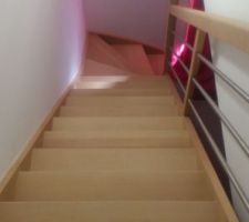 Escalier vitrifié
