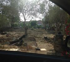 Premier coup de pelle