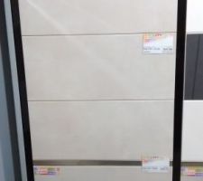 Faïence (que les carreaux lisse) pour la sdb.