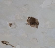 Travaux du 29 août 2016.
