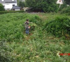 D&eacute;but du d&eacute;broussaillage